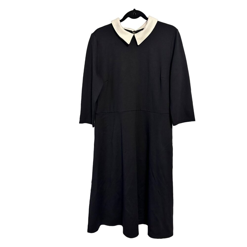 Girl With Curves Black Dress With White Peter Pan Collar 3/4 Sleeves Knee-Length